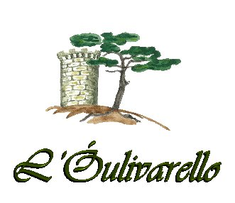 copia del logotipo de Sylvie Camille Jonas